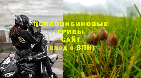дживик Алексеевка